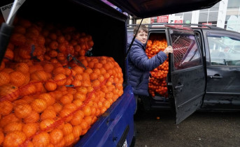 В Ростовской области мандарины подорожали на 18%