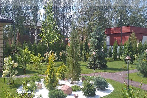 Ландшафтный дизайн дачного участка в Харькове 🏠 Заказать проектирование ландшафтного дизайна