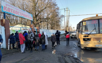 Большинство детей беженцев начнут учиться в школах Ростовской области в конце февраля