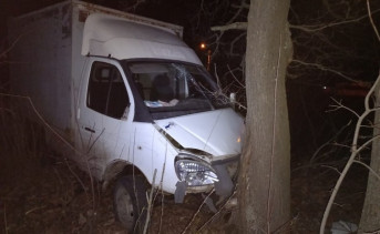 В Ростовской области водитель «Газели» скончался после удара машины о дерево