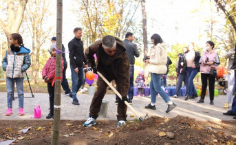 Высадить миллион цветов в Ростове пообещал градоначальник Алексей Логвиненко
