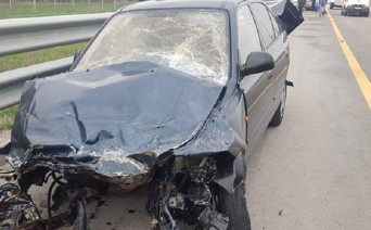 На трассе в Ростовской области иномарка влетела в отбойник, погиб пассажир