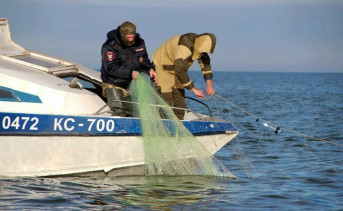Росрыболовство обвинило Погрануправление ФСБ по Ростовской области в издевательствах над рыбодобытчками в Таганрогском заливе