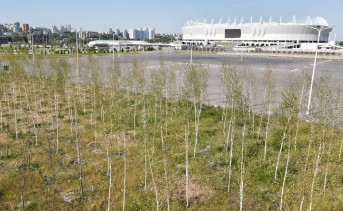 «ЮгСтройИнвест» высадил 4500 деревьев в двух районах Ростова