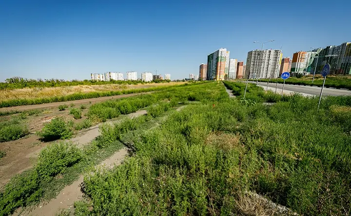 Строимся на пустыре. Ростов район Левенцовка. Левенцовка парк. Фото пустыри школьники. Церковь на Левенцовке Ростов.