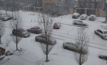Снегопад и ветер до 28 метров в секунду ожидаются в Ростовской области