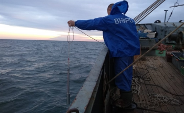 Учёные Ростовской области зафиксировали падение улова хамсы в Азовском море