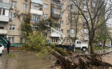 Ураганный ветер в Ростове повалил деревья и повредил машины