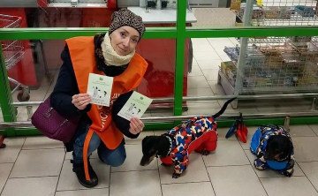 Ростовчане помогли собрать почти тонну корма для бездомных животных