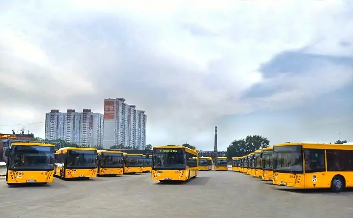 Новые автобусы, которые начали работать на ростовских маршрутах с 1 августа. Фото пресс-службы администрации города.