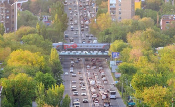 «Искусственно наполняя город деревьями, результатов не достичь»: эксперты — о планах чиновников сделать Ростов зелёным