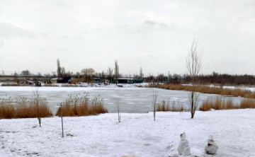 Снегопад и метель будут накрывать Ростовскую область ещё несколько дней