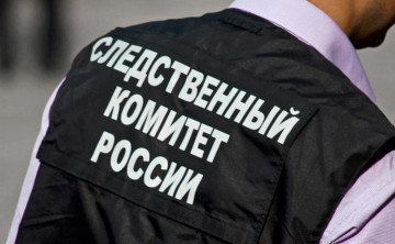 В Ростове будут судить супругов, которые изрубили 8-месячную дочь и сложили части её тела в холодильник