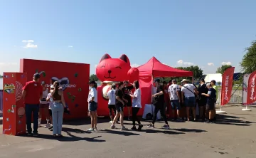 День физкультурника на гребном канале. Фото предоставлено пресс-службой АО «Альфа-Банк»