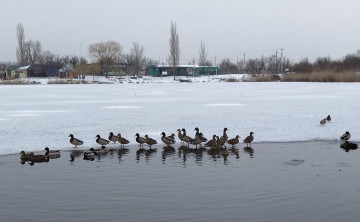 В Ростовской области в феврале спрогнозировали проливные дожди, обильный мокрый снег и потепление до +13 °С