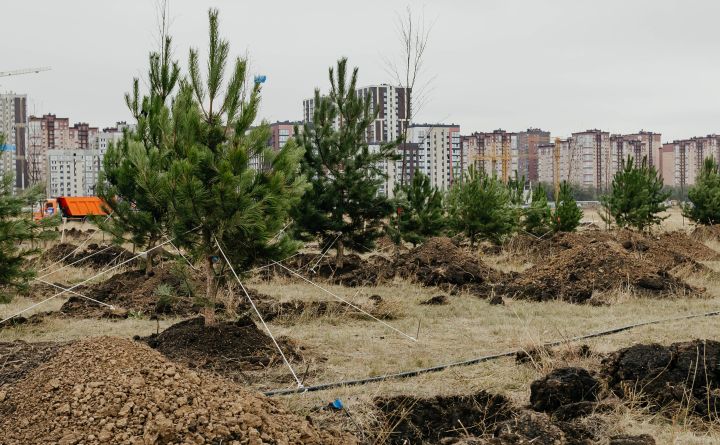 Парк площадью свыше 12 гектаров планируют благоустроить на территории «Нового Ростова»