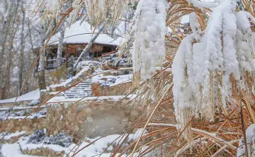 Парк Лога в Каменском районе. Фото из Telegram-канала парка