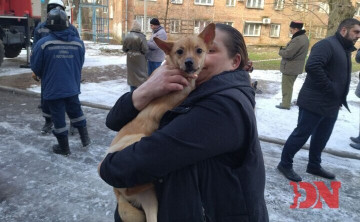 В Ростове спасают домашних животных из обрушившегося дома на Нариманова