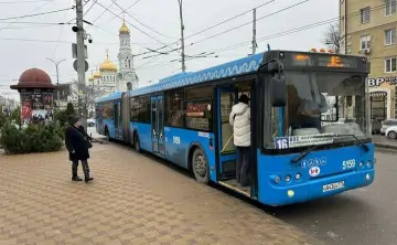 Автобусы-гармошка в Ростове. Фото rostov-gorod.ru