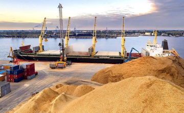 В «РЖД» исключили дефицит вагонов для экспорта зерна из Ростовской области