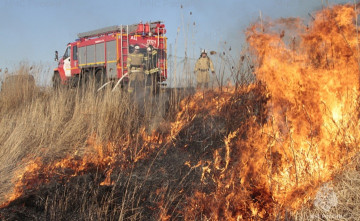 В Ростовской области пожары уничтожили больше ста гектаров пшеницы