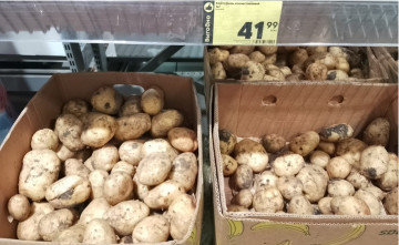 В Ростовской области цена картошки выросла из-за подорожавших в 2 раза удобрений