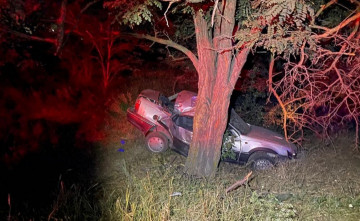 В Ростовской области иномарка влетела в дерево, погиб 17-летний парень