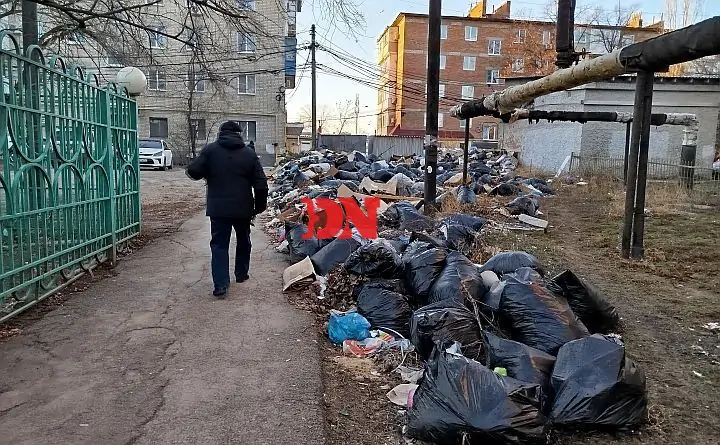 Мусорные аллеи в Каменске-Шахтинском. Фото donnews.ru