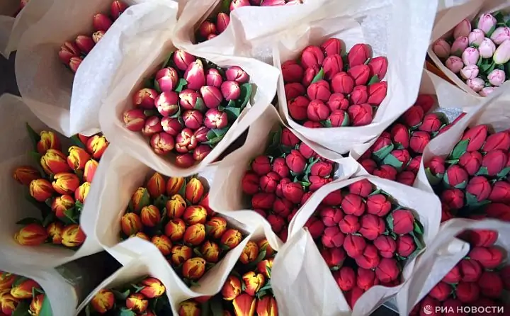 Тюльпаны. Фото Александра Кряжева, РИА Новости